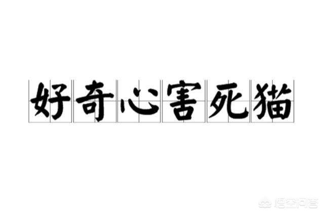 人类一败涂地黑暗钥匙怎么溶解？ 人类一败涂地攻略黑暗城堡